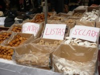 Rosquillas de San Isidro